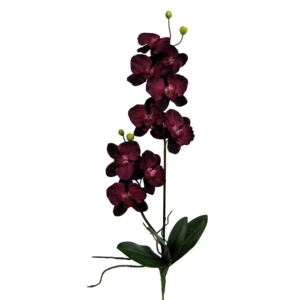 Gasper Orchidej 70cm x2 fialová (bez květináče)