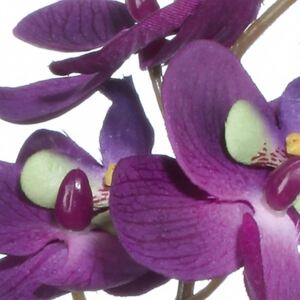 Gasper Orchidej 31,5 cm fialová