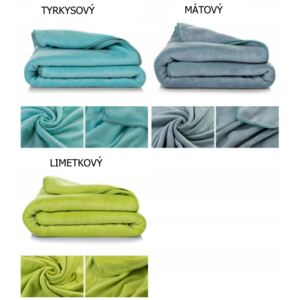 Rychleschnoucí ručník mikrovlákno 50x90cm různé barvy Barva: Tyrkysová