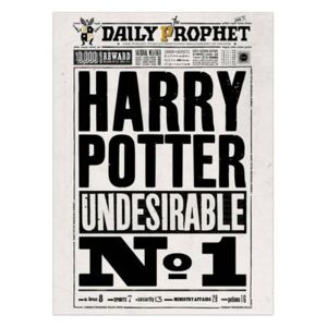 The Art Printorium Ltd Plakát Harry Potter - Denní věštec: Undesirable No.1