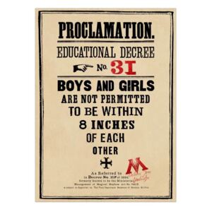 The Art Printorium Ltd Plakát Harry Potter - Proclamation 31