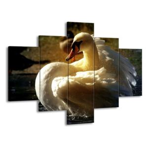 Vícedílný obraz Bílá labuť v řece 100x70 cm