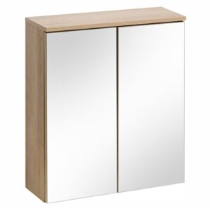 Závěsná skříňka se zrcadlem - REMIK 842, šířka 60 cm, dub riviéra