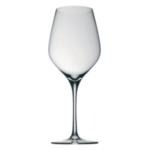 Rosenthal Sklenice na bílé víno Robust Fuga