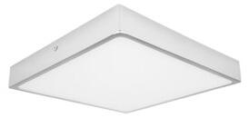 Palnas Stropní/nástěnné LED svítidlo EGON š. 14,5 cm Barva: Bílá, 3000K