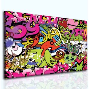 Obraz graffiti růžové + háčky, hřebíčky, čistící hadřík ZDARMA Velikost (šířka x výška): 80x60 cm