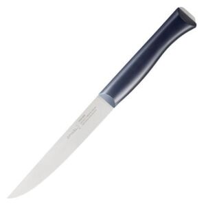 Opinel N°220 Carving knife Intempora
