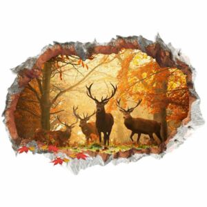 ZOOYOO Samolepka na zeď Podzimní les 3D 50 x 70 cm