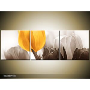 Obraz Květina z tulipánů - žlutá