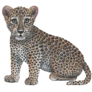 Samolepící dekorace Leopard mládě