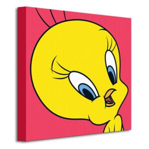 Obraz na plátně Looney Tunes (Tweety) 40x40cm WDC95122