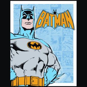 Plechová cedule: Batman (Retro Panels) - 40x30 cm