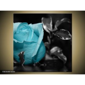 Obraz modré růže (F003640F3030)