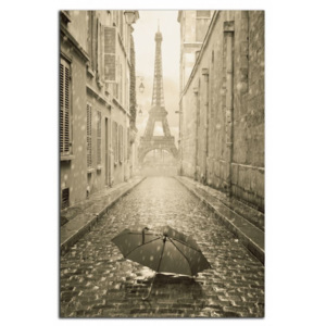 Eiffelovka a deštník C6360AO