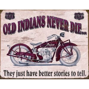 Plechová cedule: Old Indians Never Die... - 30x40 cm