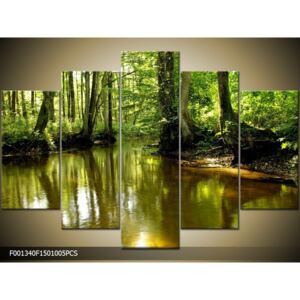 Obraz na plátně Lesní tůň, Tvar obrazu a rozměr 5 dílný 150x100cm 2198 Kč