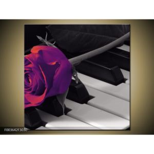 Obraz fialové růže na piánu (F003642F3030)