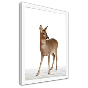 CARO Obraz v rámu - Sarna 40x50 cm Bílá