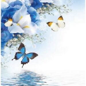 ART-STYLE Obrázek 30x30, motýl modrý, rám bílý s patinou