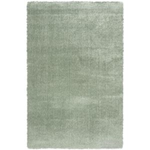 Chlupatý kusový koberec Dolce Vita 01AAA | zelený Typ: 67x110 cm