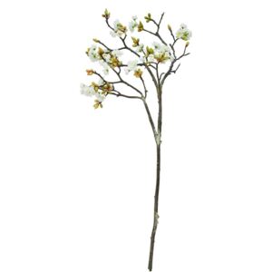 FLORISTA Větvička kvetoucí třešeň - krémová