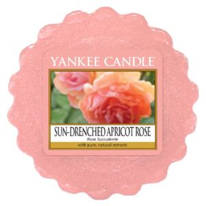 Yankee Candle - vonný vosk Sun-Drenched Apricot Rose 22g (Doširoka rozkvetlá vůně jemných růžových lístků a chutné šťavnaté meruňky.)