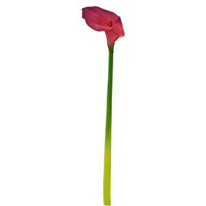 FLORISTA Kala 55 cm - růžová