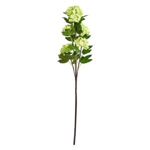 FLORISTA Větvička kalina 60 cm - zelená