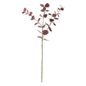FLORISTA Eukalypt větvička - červená