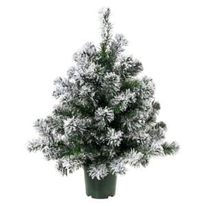 TREE OF THE MONTH Vánoční stromek zasněžený 60 cm - zelená