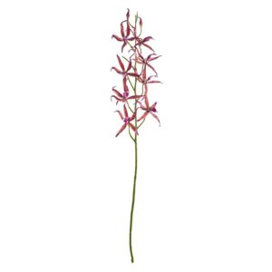 FLORISTA Orchidej Brasie 80 cm - růžová