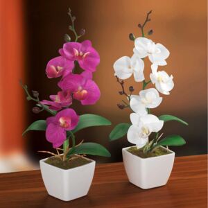 Dekorační orchidej, sada 2 ks