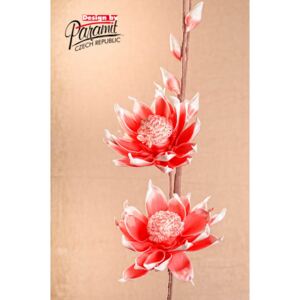 Paramit Aranžovací květina 105 cm červeno-bílá