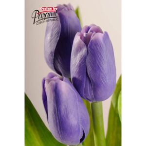 Paramit Umělý tulipán světle fialový
