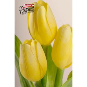 Paramit Umělý tulipán světle žlutý
