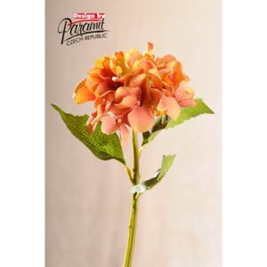 Paramit Aranžovací květina hortenzie žlutooranžová
