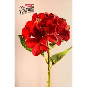 Paramit Aranžovací květina hortenzie červená