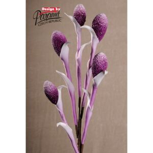 Paramit Aranžovací květina rákos fialová