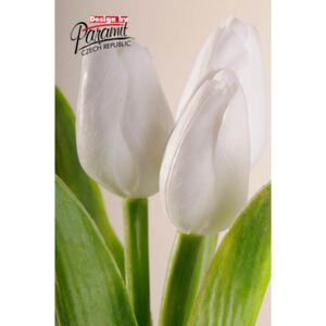 Paramit Francouzský umělý tulipán světle bílý 40 cm