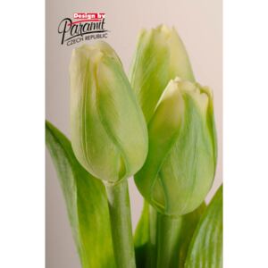 Paramit Umělý tulipán zelený