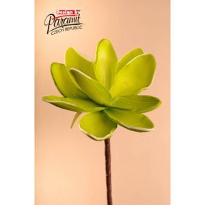 Paramit Aranžovací květina 18 cm světle zelená