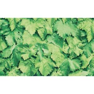 Samolepící fólie zelené listí 45 cm x 15 m GEKKOFIX 10195 samolepící tapety