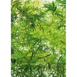 Fototapeta Bamboo, rozměr 183 cm x 254 cm, fototapety W+G 372