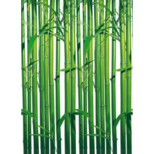 Fototapeta Bamboo, rozměr 183 cm x 254 cm, fototapety bambus W+G 421
