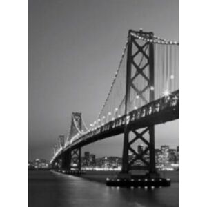 Fototapeta San Francisco Skyline, rozměr 183 cm x 254 cm, fototapety W+G 387