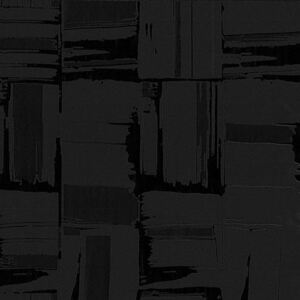 Vliesové tapety na zeď Dieter Bohlen 13152-20, lesklý štuk černý, rozměr 10,05 m x 0,53 m, P+S International