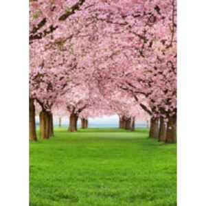 Fototapeta Cherry Trees, rozměr 183 cm x 254 cm, fototapety W+G 385