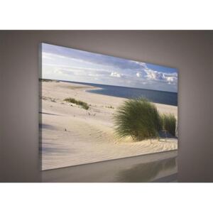 Obraz na plátně písečná pláž 192O1, 75 x 100 cm, IMPOL TRADE