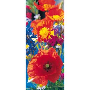 Fototapeta Red Poppies, rozměr 86 cm cm x 200 cm, fototapety W+G 515