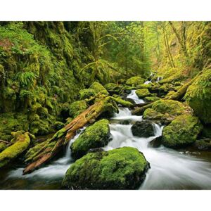 Vliesová fototapeta Green Canyon Cascades, rozměr 200 cm x 160 cm, fototapety W+G 909